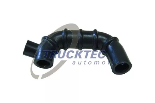 Hose, crankcase ventilation