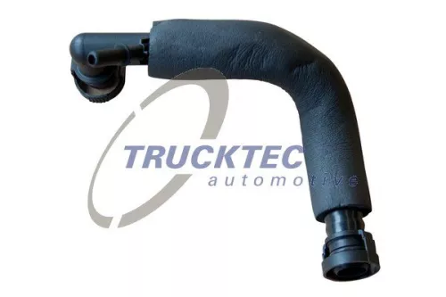 Hose, crankcase ventilation