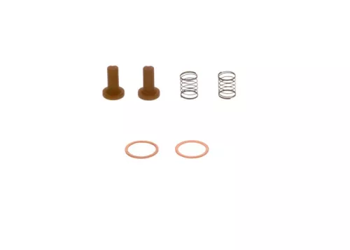 BOSCH Repair Kit, fuel pump (2447010011)