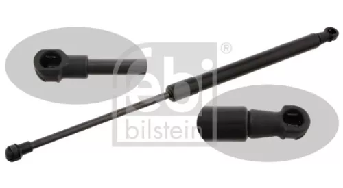 1x Gas Spring, bonnet