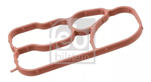 1x Gasket, oil cooler