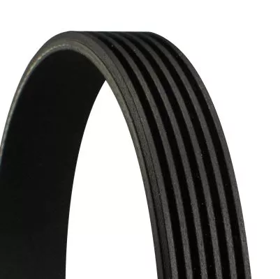 CONTINENTAL CTAM V-Ribbed Belt (6PK2315)