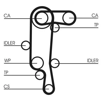 CONTINENTAL CTAM Timing Belt (CT957)