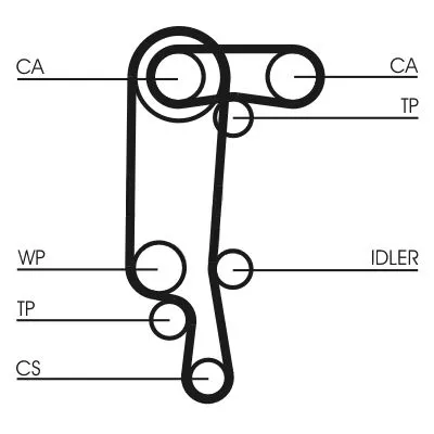 CONTINENTAL CTAM Timing Belt (CT957)