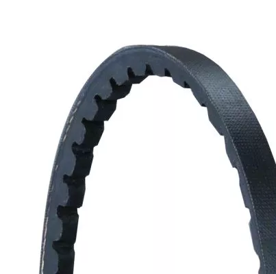 CONTINENTAL CTAM V-Belt (AVX10X1500)