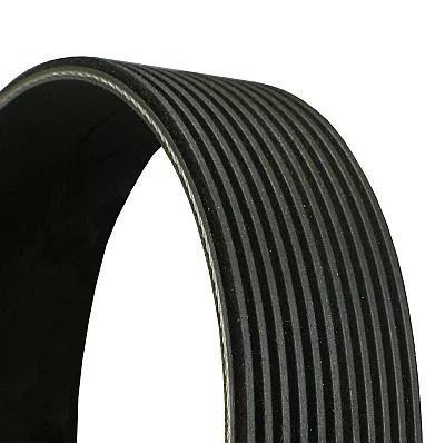 CONTINENTAL CTAM V-Ribbed Belt (11PK2835)