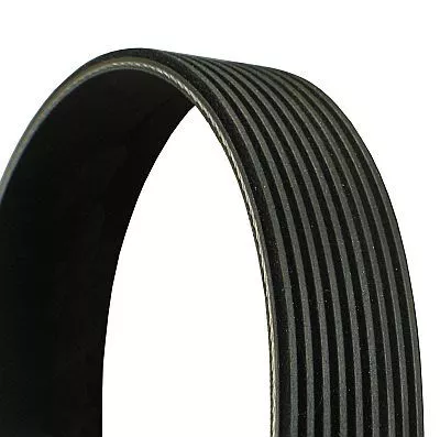 CONTINENTAL CTAM V-Ribbed Belt (9PK2871)