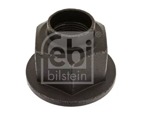 FEBI BILSTEIN 10x Nut, kingpin (01229)