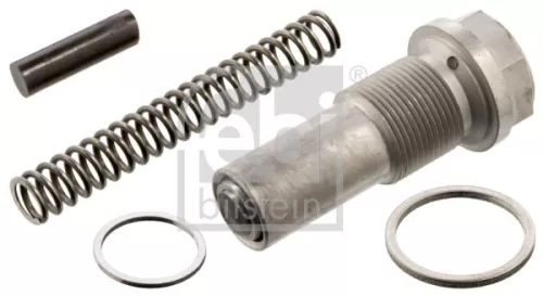1x Tensioner, timing chain