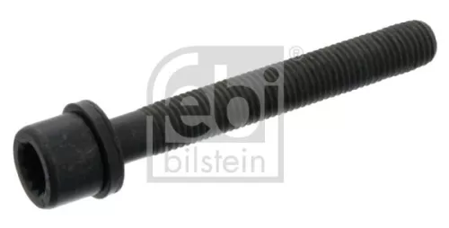 FEBI BILSTEIN 10x Cylinder Head Bolt (02080)