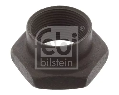 FEBI BILSTEIN 20x Nut, kingpin (02229)