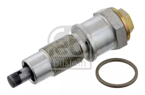 1x Tensioner, timing chain
