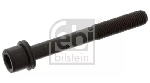 FEBI BILSTEIN 10x Cylinder Head Bolt (02623)