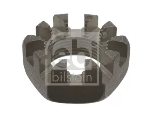 FEBI BILSTEIN 20x Nut, kingpin (02817)