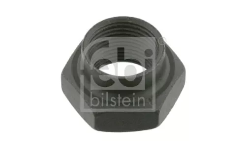 FEBI BILSTEIN 20x Nut, kingpin (03810)
