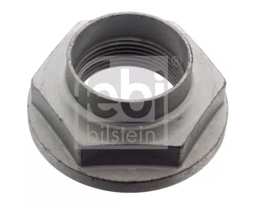 FEBI BILSTEIN 20x Nut, kingpin (03882)