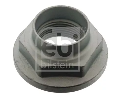 FEBI BILSTEIN 20x Nut, kingpin (04041)