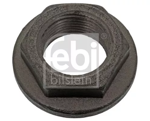 FEBI BILSTEIN 20x Nut, kingpin (04056)
