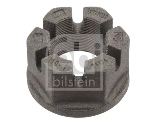 FEBI BILSTEIN 4x Nut, kingpin (04174)