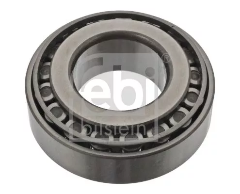 1x Bearing