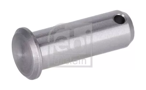 FEBI BILSTEIN 20x Securing Bolt (07001)