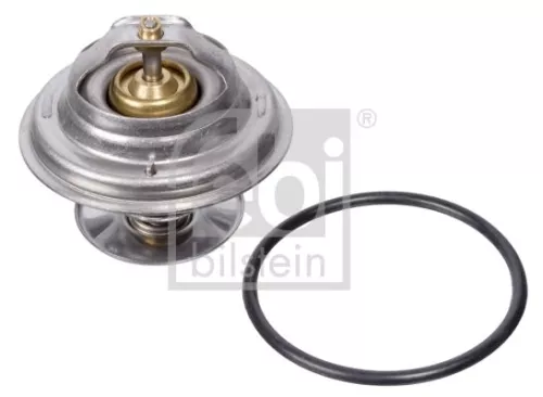 1x Thermostat, coolant