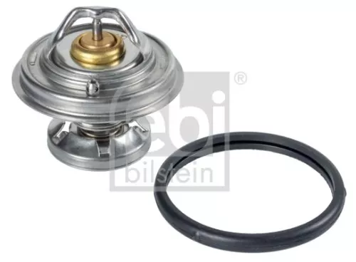 1x Thermostat, coolant
