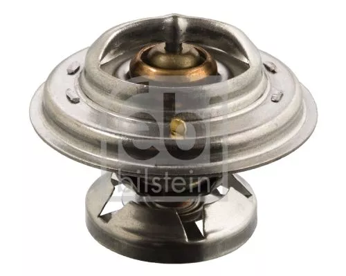 1x Thermostat, coolant