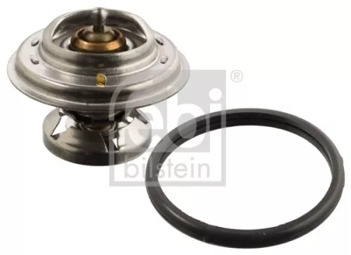 1x Thermostat, coolant