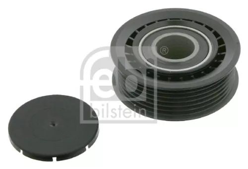 1x Deflection/Guide Pulley, V-ribbed belt