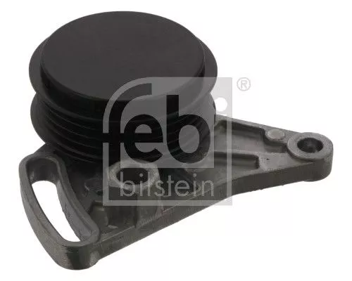 1x Belt Tensioner, V-ribbed belt