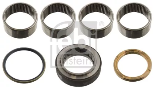 FEBI BILSTEIN 1x Repair Kit, kingpin (15856)