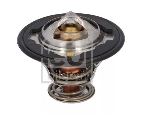 1x Thermostat, coolant