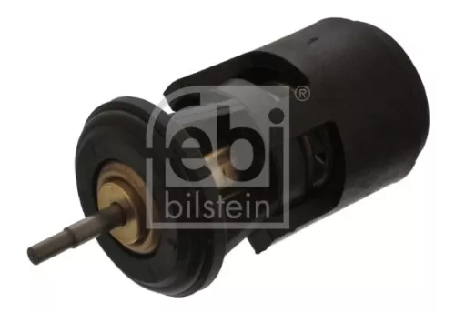 1x Thermostat, coolant