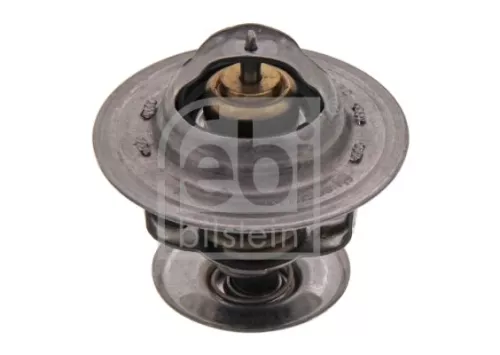 1x Thermostat, coolant