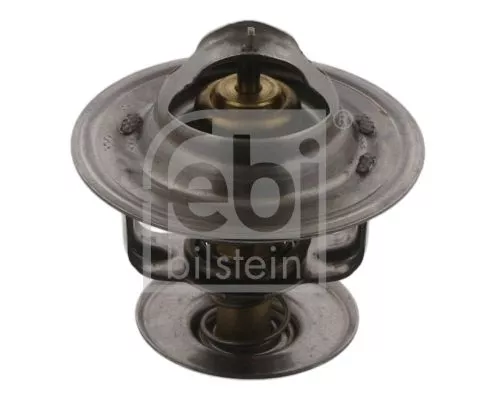 1x Thermostat, coolant