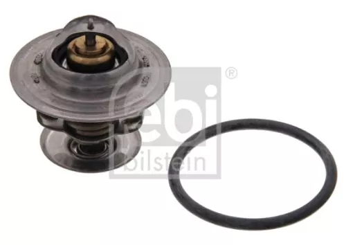 1x Thermostat, coolant