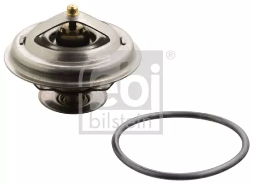 1x Thermostat, coolant