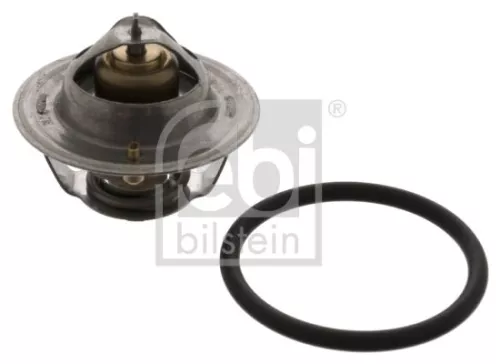 1x Thermostat, coolant