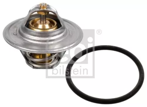 1x Thermostat, coolant