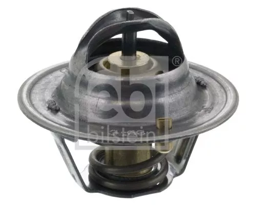 1x Thermostat, coolant