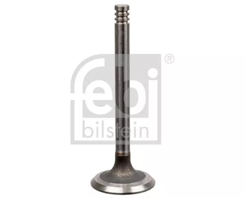 1x Intake Valve