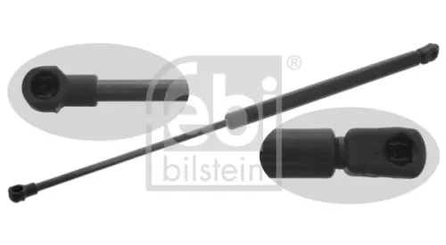 1x Gas Spring, bonnet