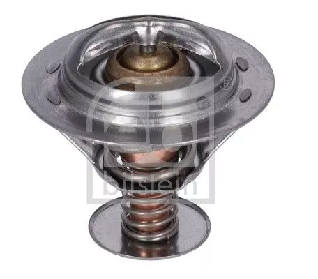 1x Thermostat, coolant