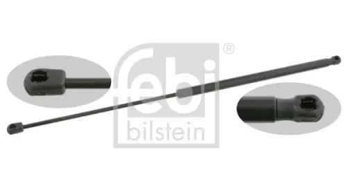 1x Gas Spring, bonnet