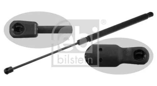 1x Gas Spring, bonnet