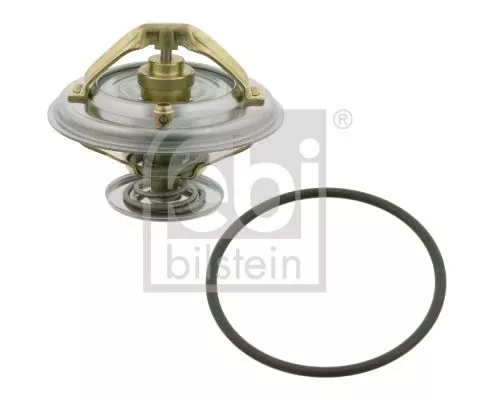 1x Thermostat, coolant