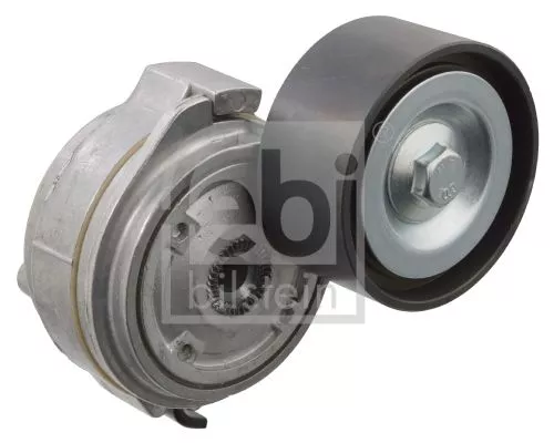 1x Belt Tensioner, V-ribbed belt