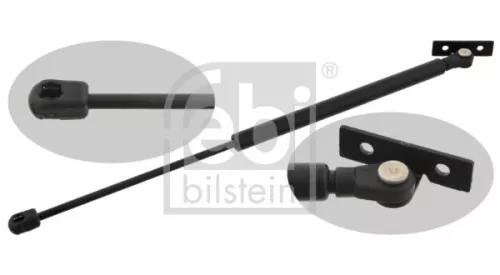 1x Gas Spring, bonnet