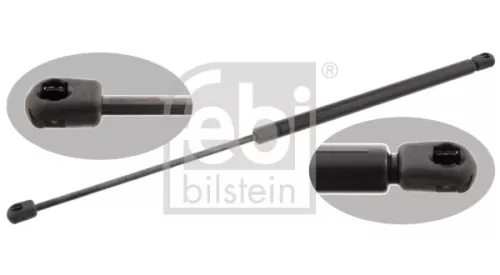 1x Gas Spring, bonnet